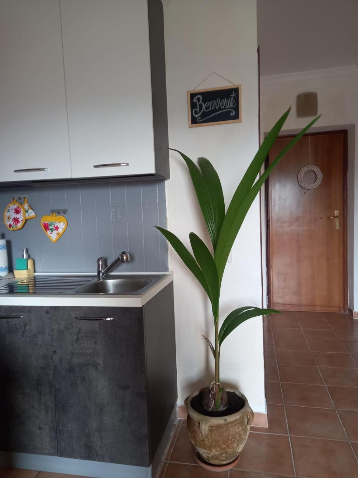 Apartmán Antica Fonte Montefranco Exteriér fotografie